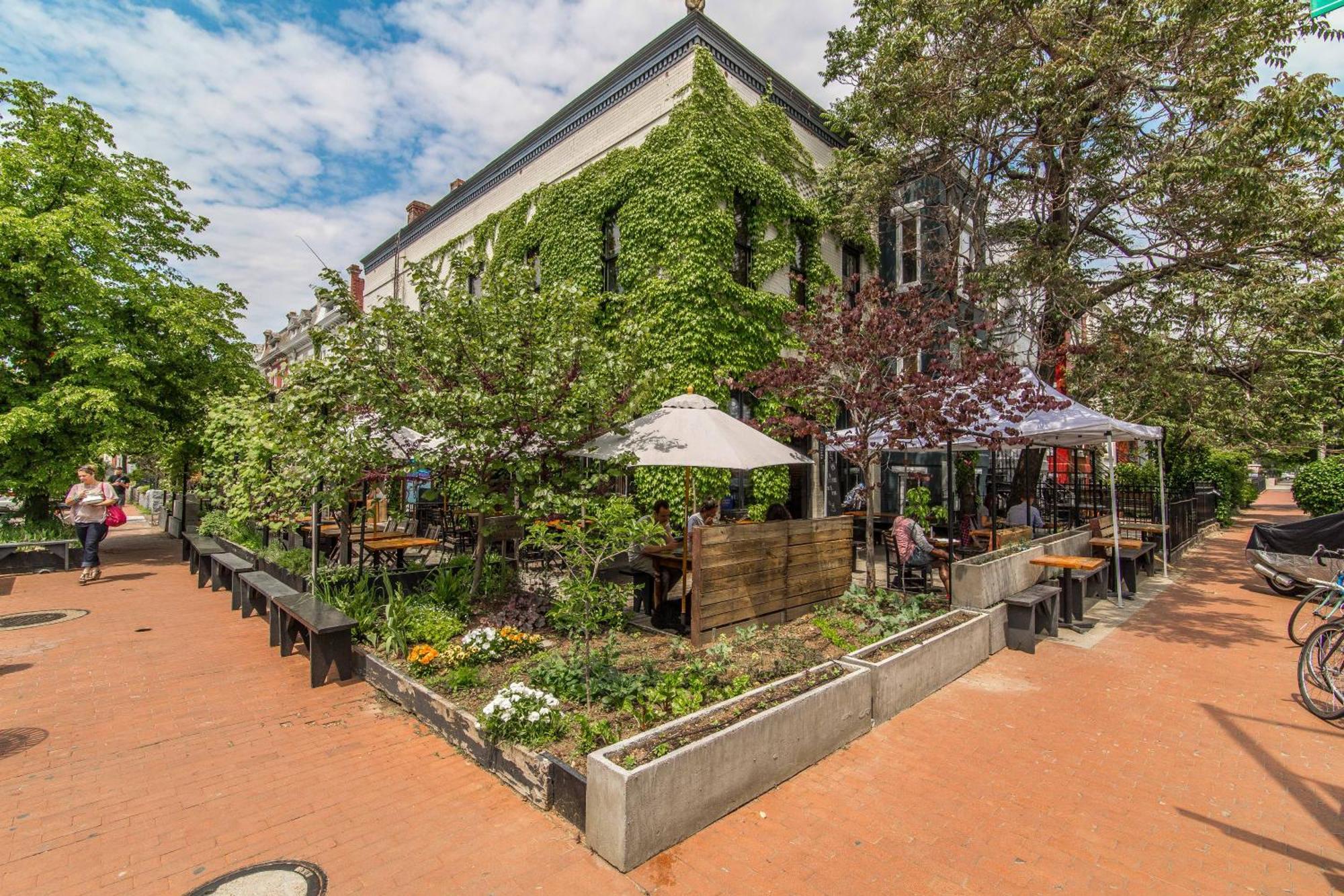 Stylish Renovated Flat, Central, Walk To Dc Sights Appartement *